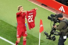 比斯内德&里贝里：欧冠欧洲杯双冠王却与金球奖擦肩的传奇故事